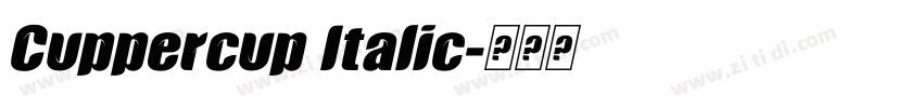 Cuppercup Italic字体转换